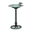 Birdbath