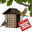 Suet